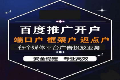 行业领先企业的SEM运营策略案例解析